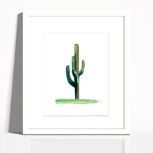 Arizona Desert Cactus